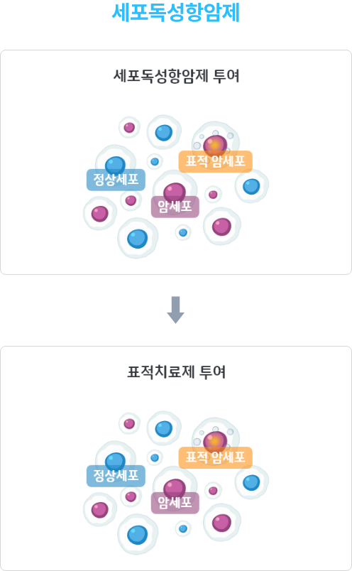 세포독성항암제